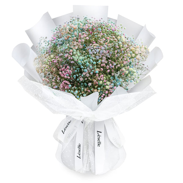 Preserved Dark Rainbow Baby's Breath Small Arrangement – LeLe Floral